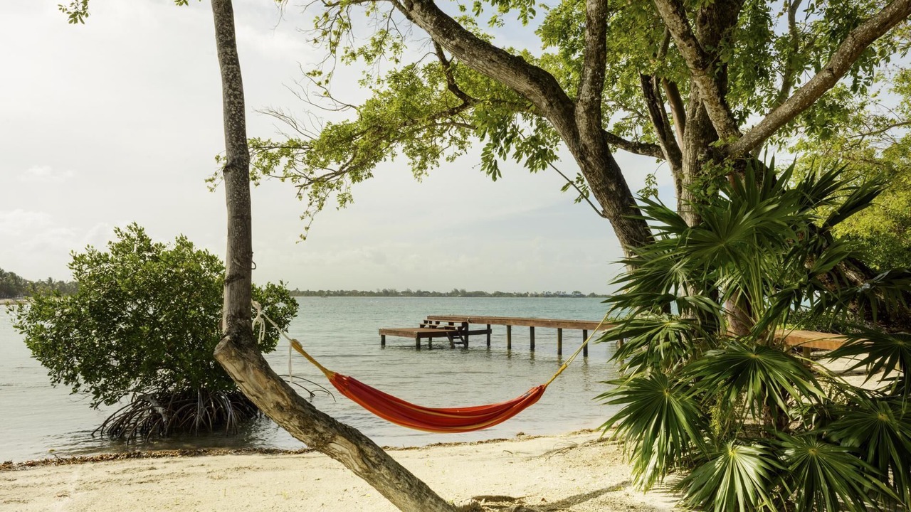 Photo of Others in Placencia