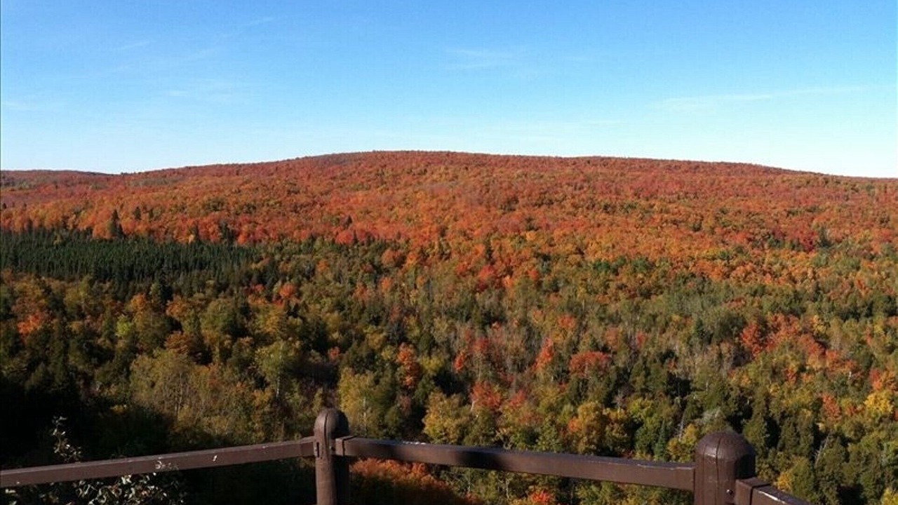 Photo of Others in Lutsen