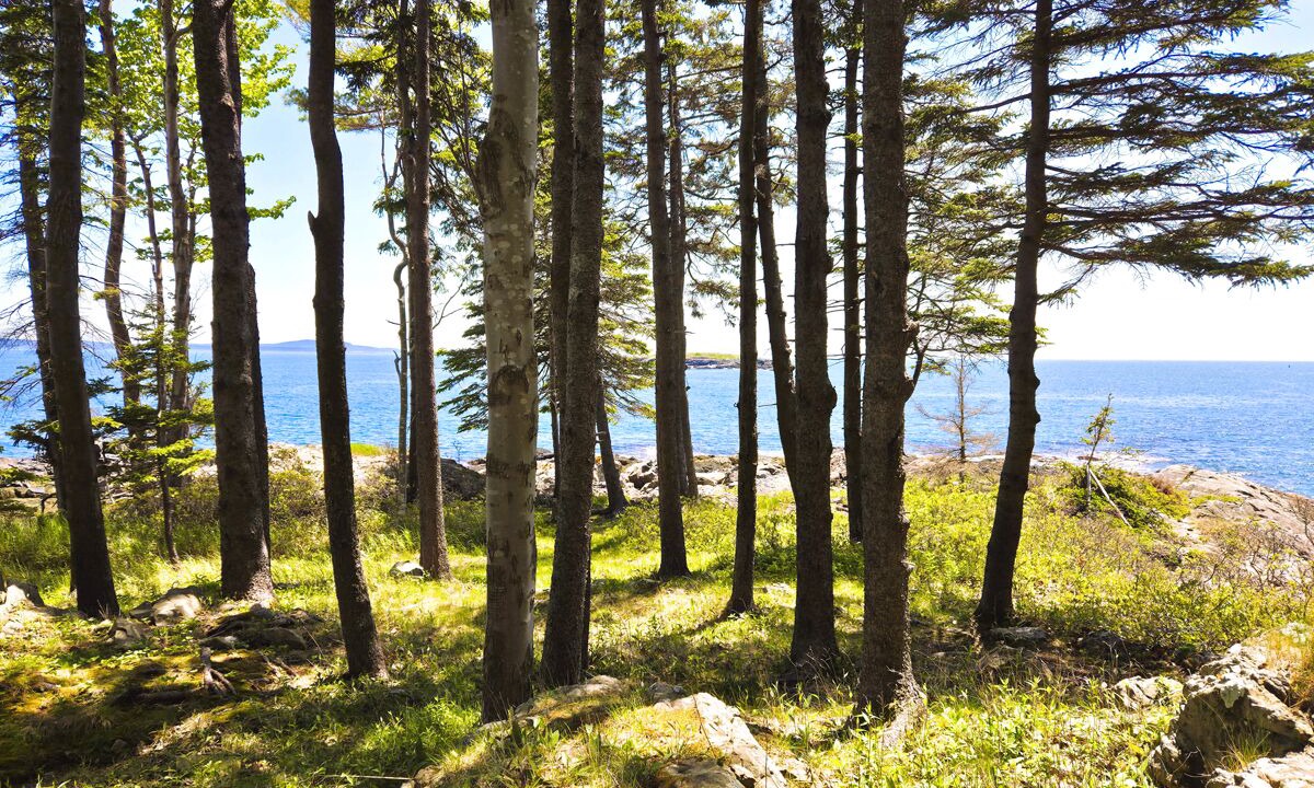 Photo of Others in Bar Harbor