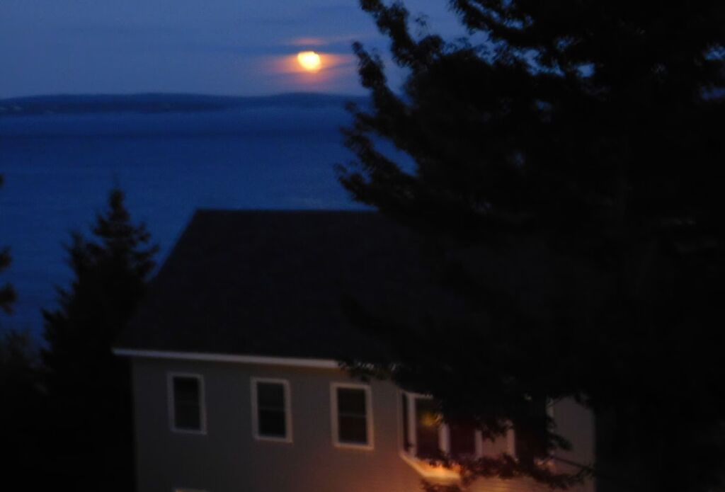 Photo of Others in Bar Harbor