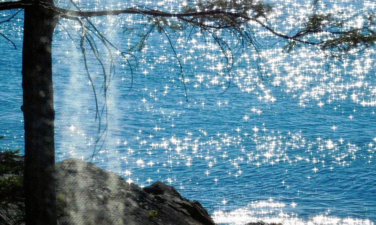 Photo of Others in Bar Harbor