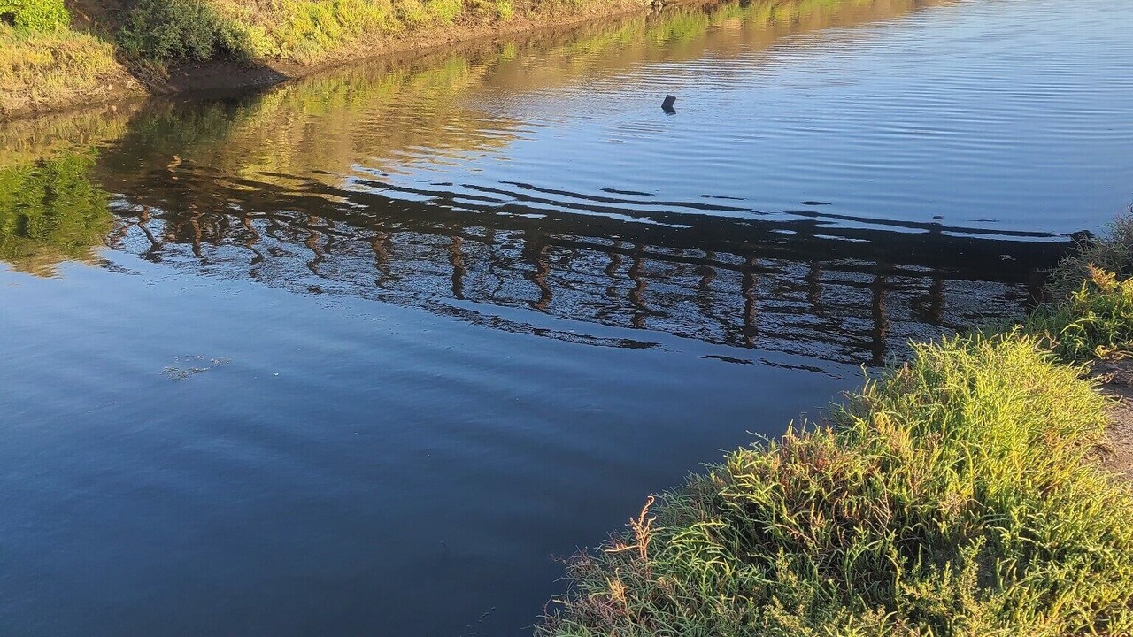 Photo of Others in Carpinteria
