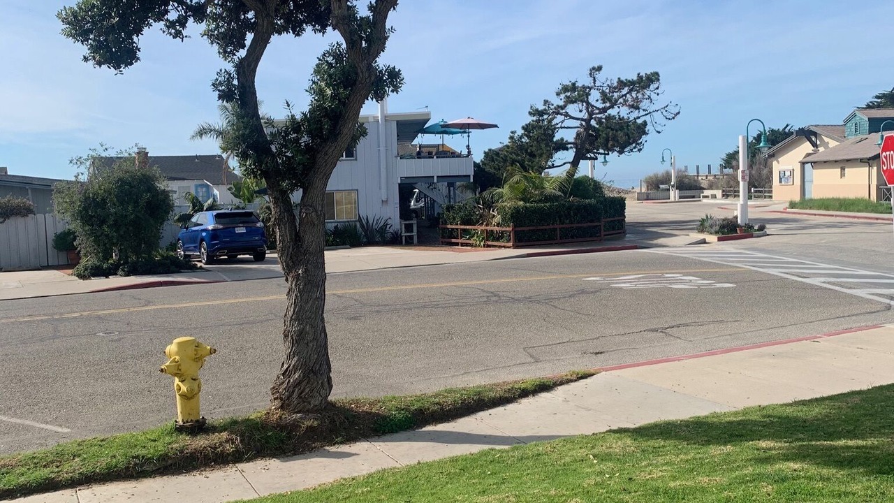 Photo of Others in Carpinteria