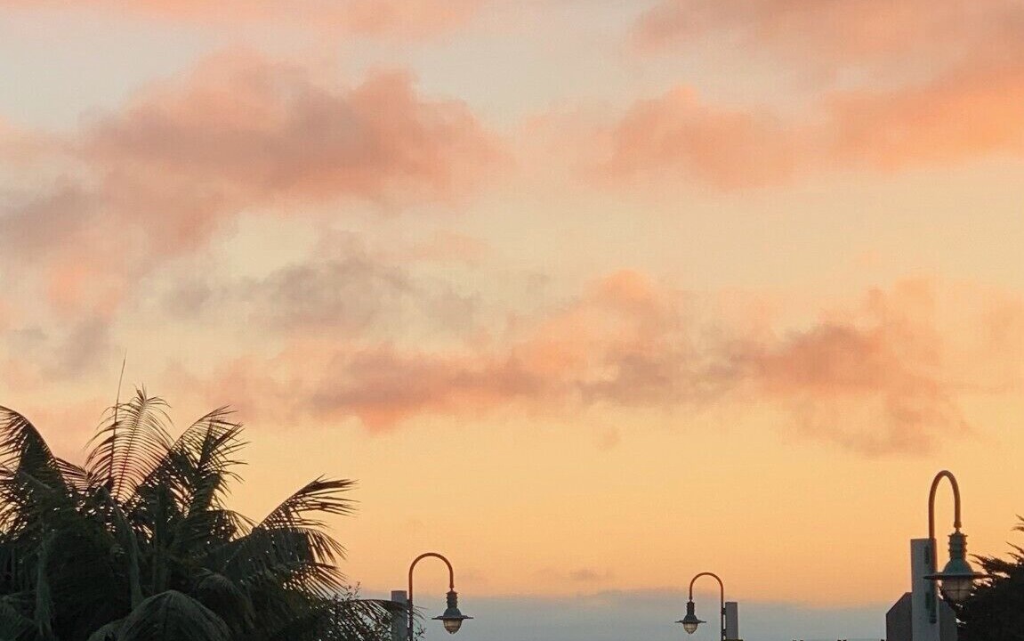 Photo of Others in Carpinteria