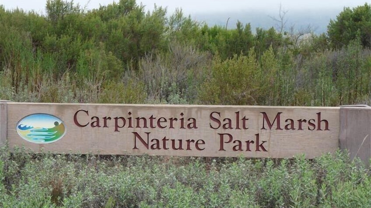 Photo of Others in Carpinteria
