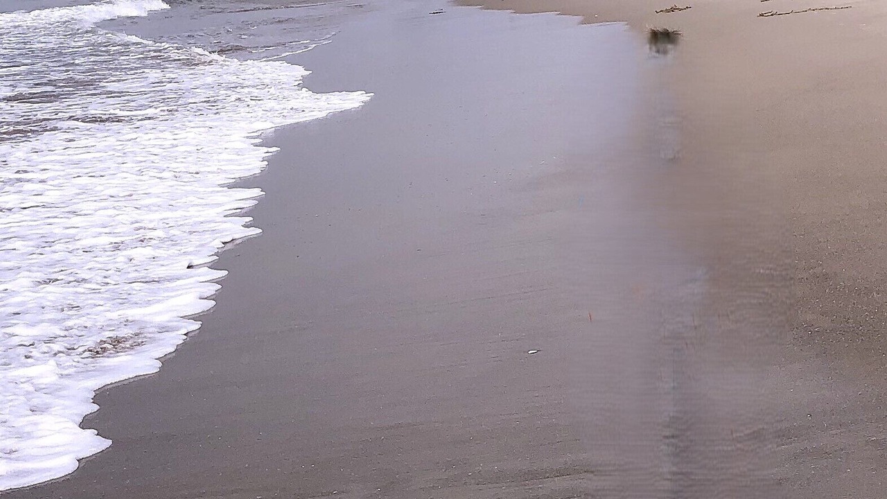 Photo of Others in Carpinteria
