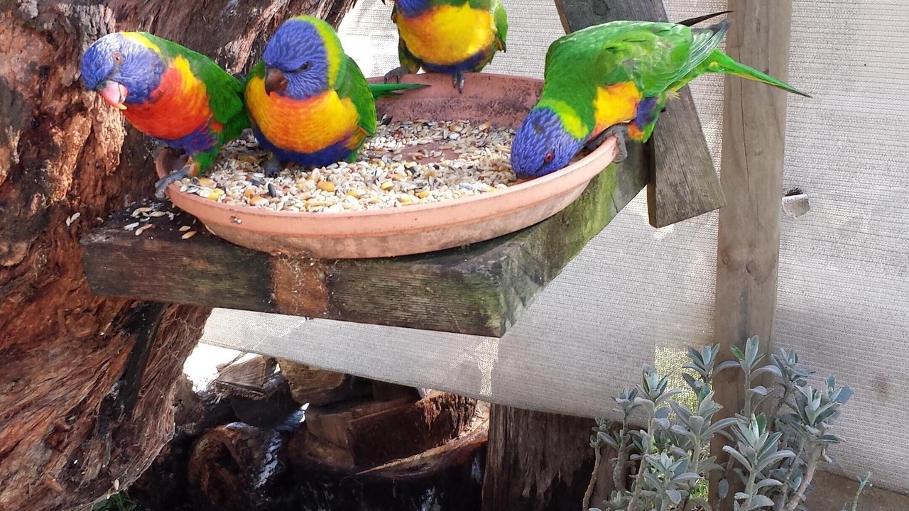 Photo of Others in Huskisson
