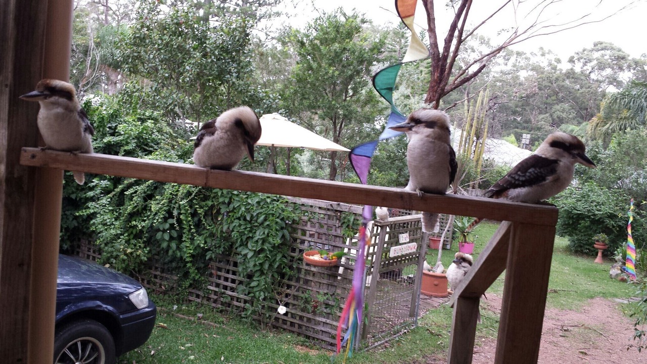 Photo of Outdoor in Huskisson
