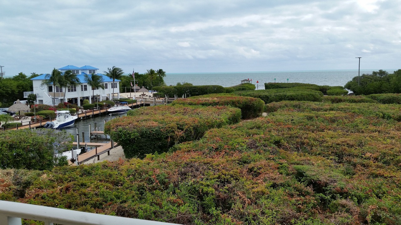 Photo of Patio Balcony in Tavernier