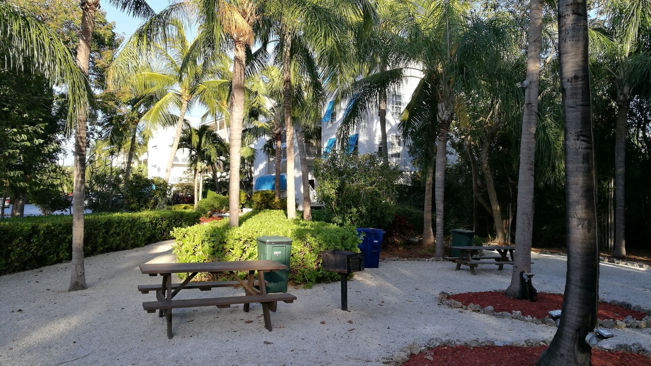 Photo of Others in Tavernier