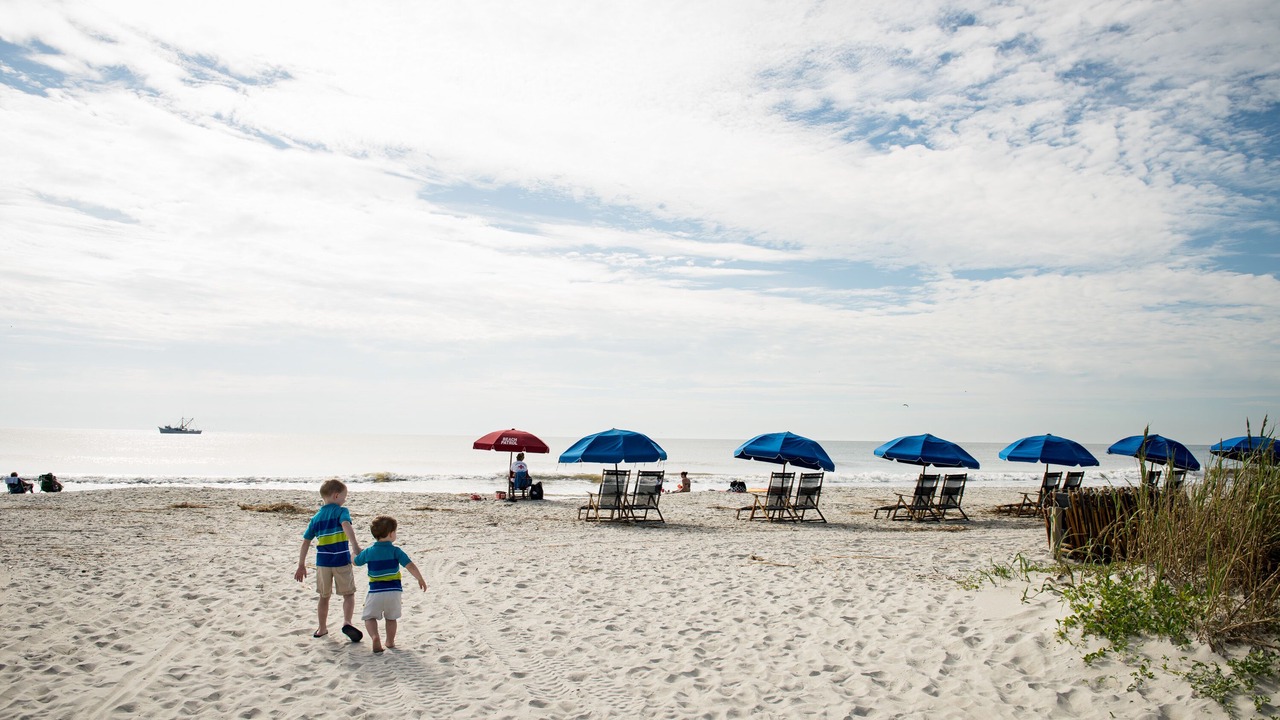 Photo of Others in Folly Field