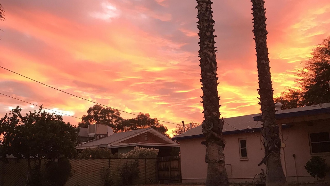 Photo of Others in Tucson