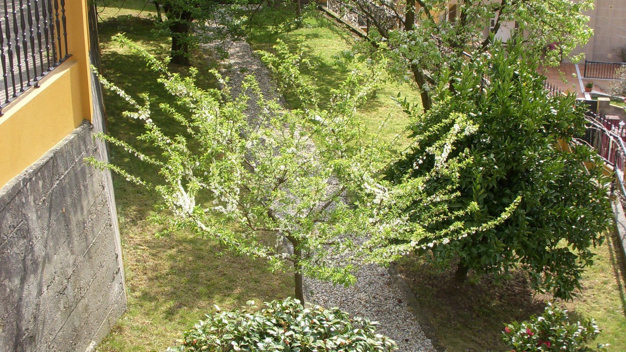 Photo of Outdoor in Bueu