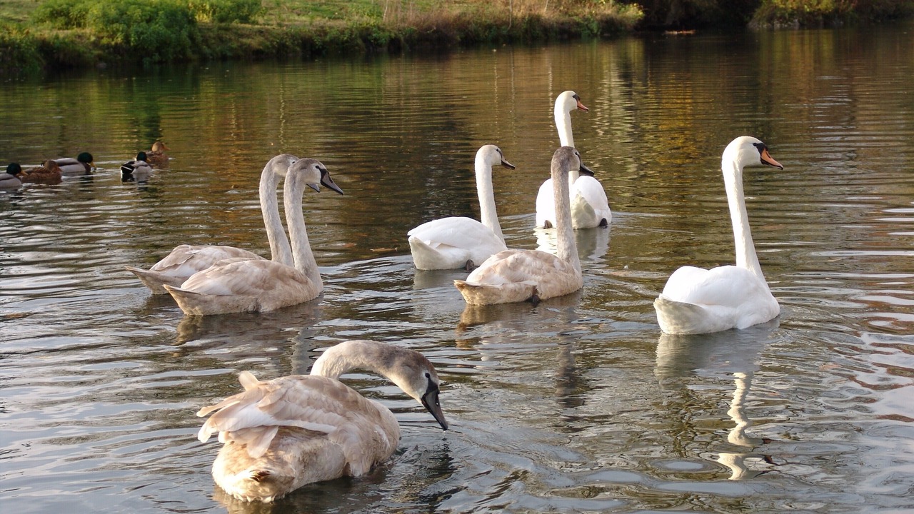 Photo of Outdoor in Montigny-sur-Loing