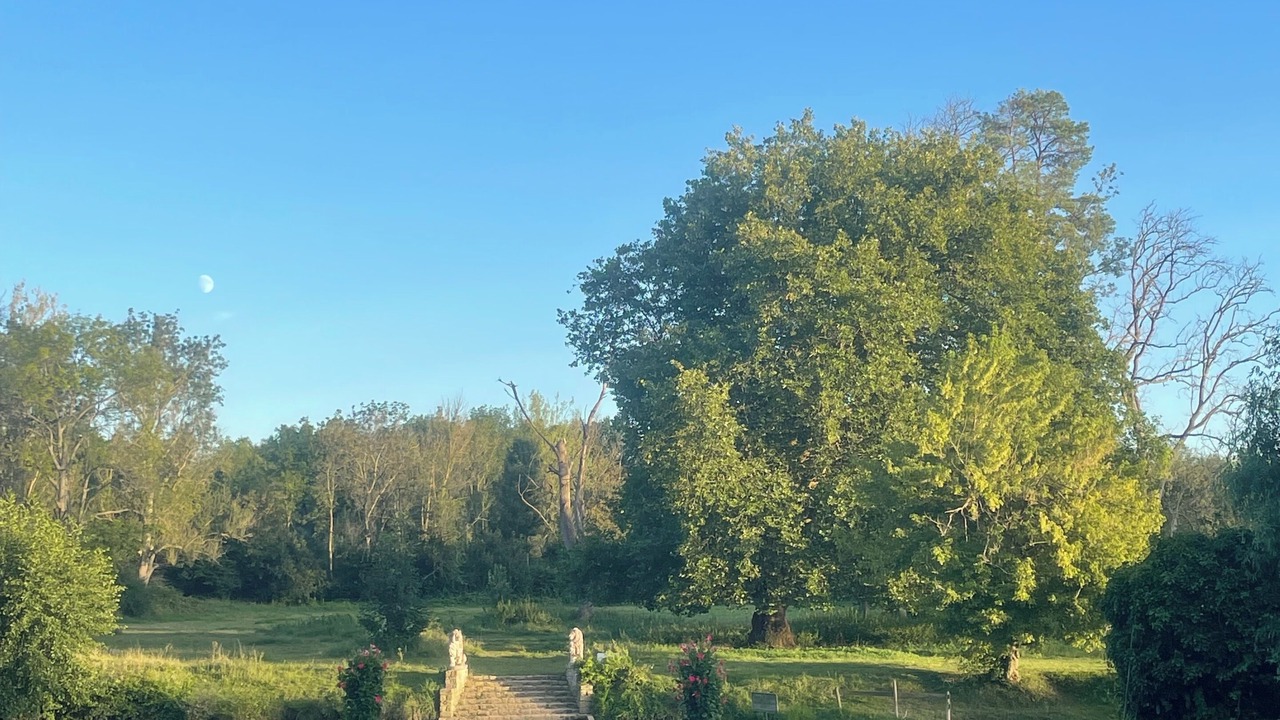 Photo of Others in Montigny-sur-Loing