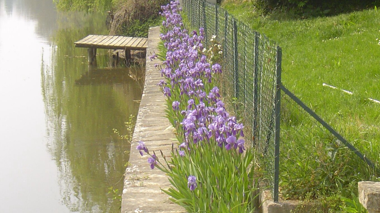 Photo of Outdoor in Montigny-sur-Loing
