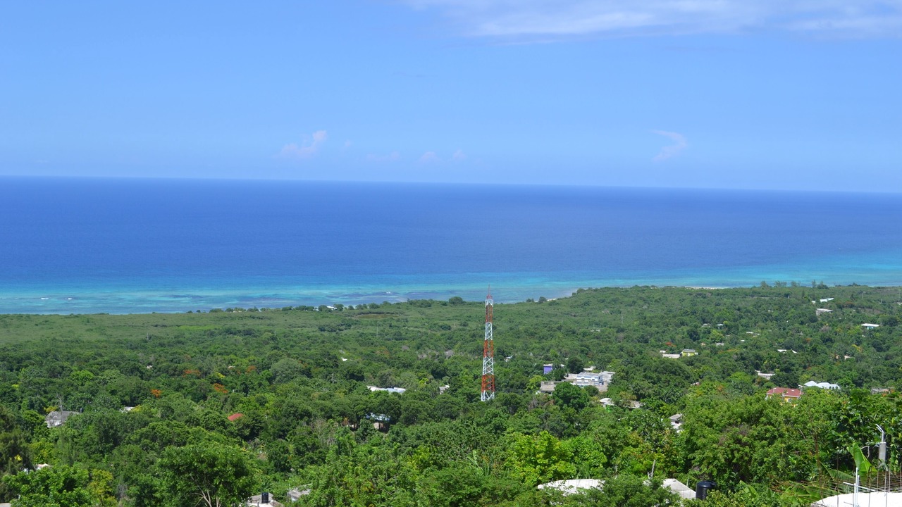 Photo of Others in Montego Bay