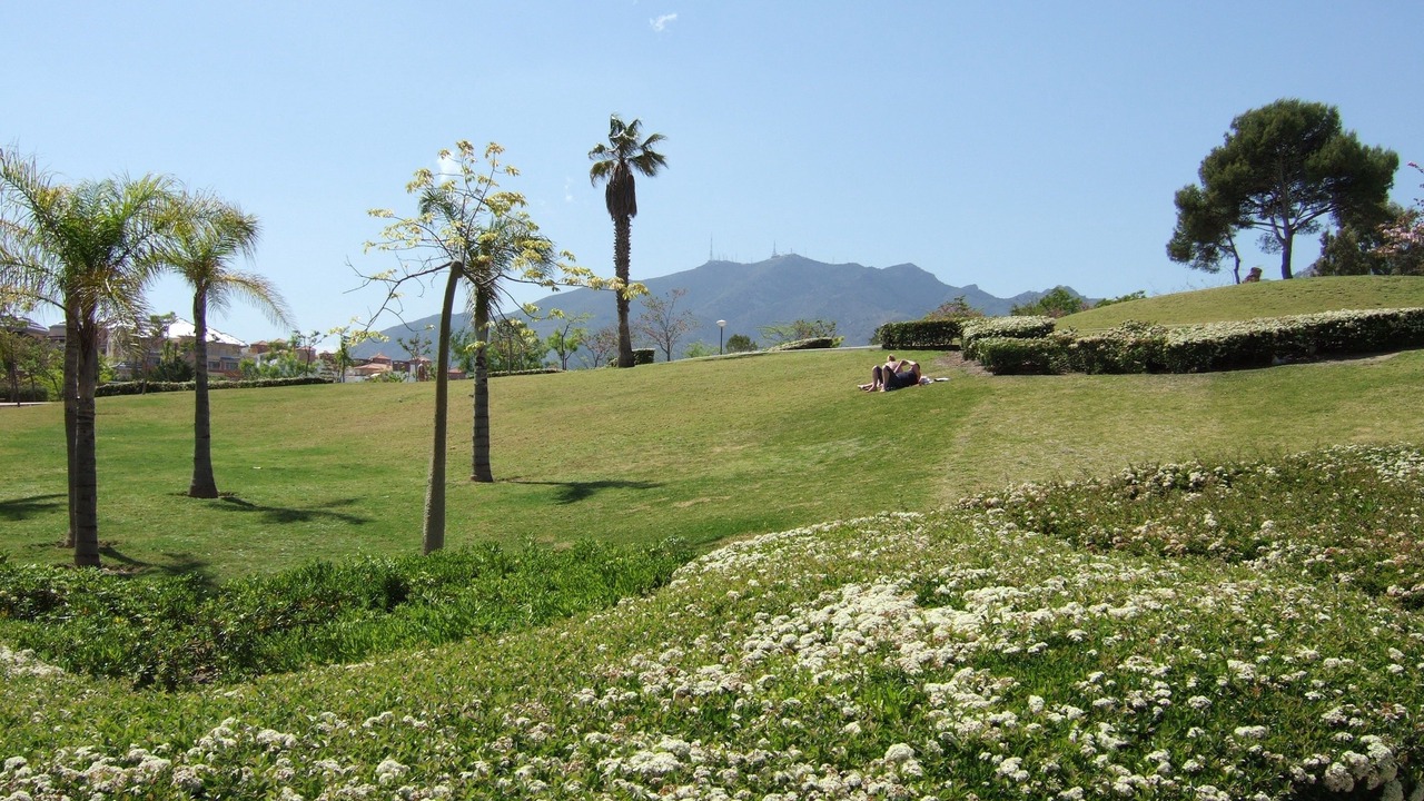 Photo of Others in Benalmadena Costa