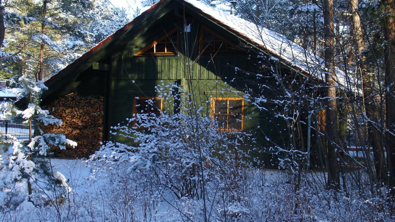 Photo of Outdoor in Borkwalde