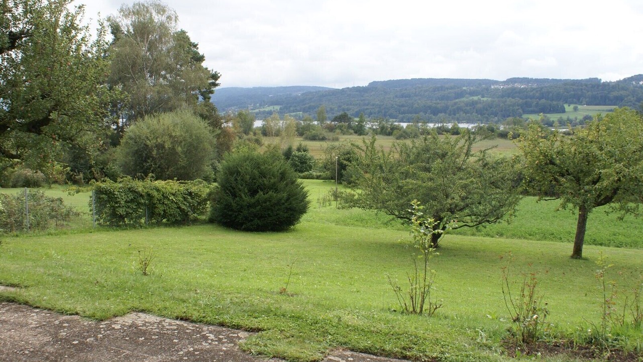 Photo of Outdoor in Uster District