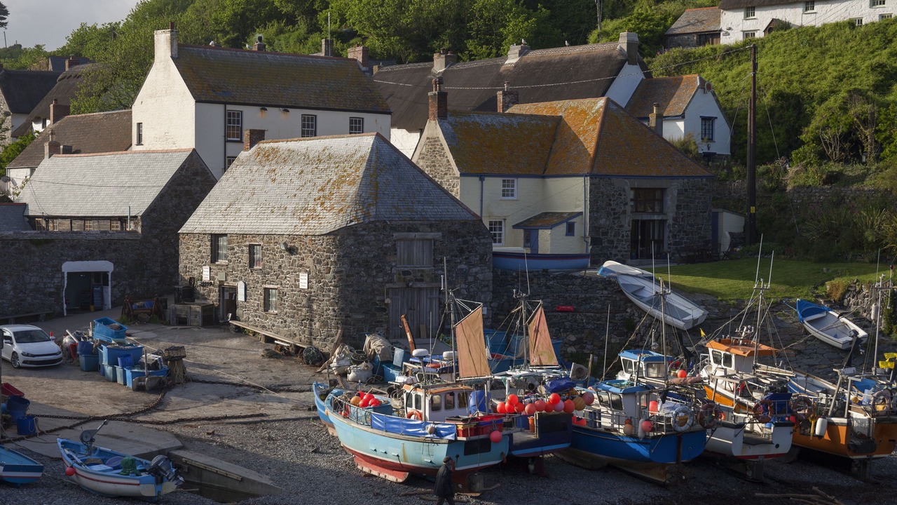 Photo of Others in Cadgwith