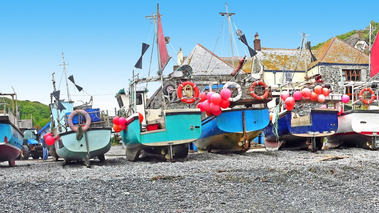 Photo of Others in Cadgwith