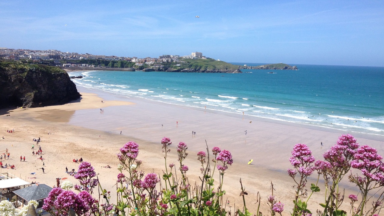 Photo of Others in Newquay City Centre