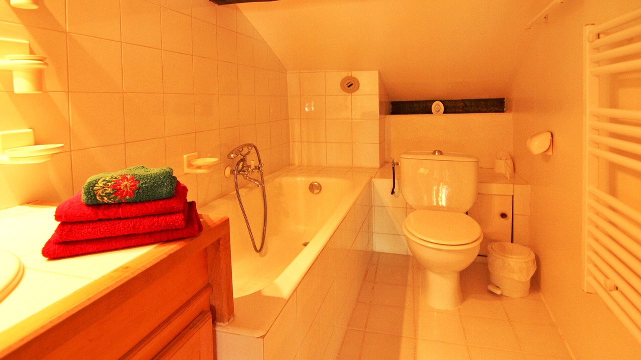 Photo of Bathroom in Meribel