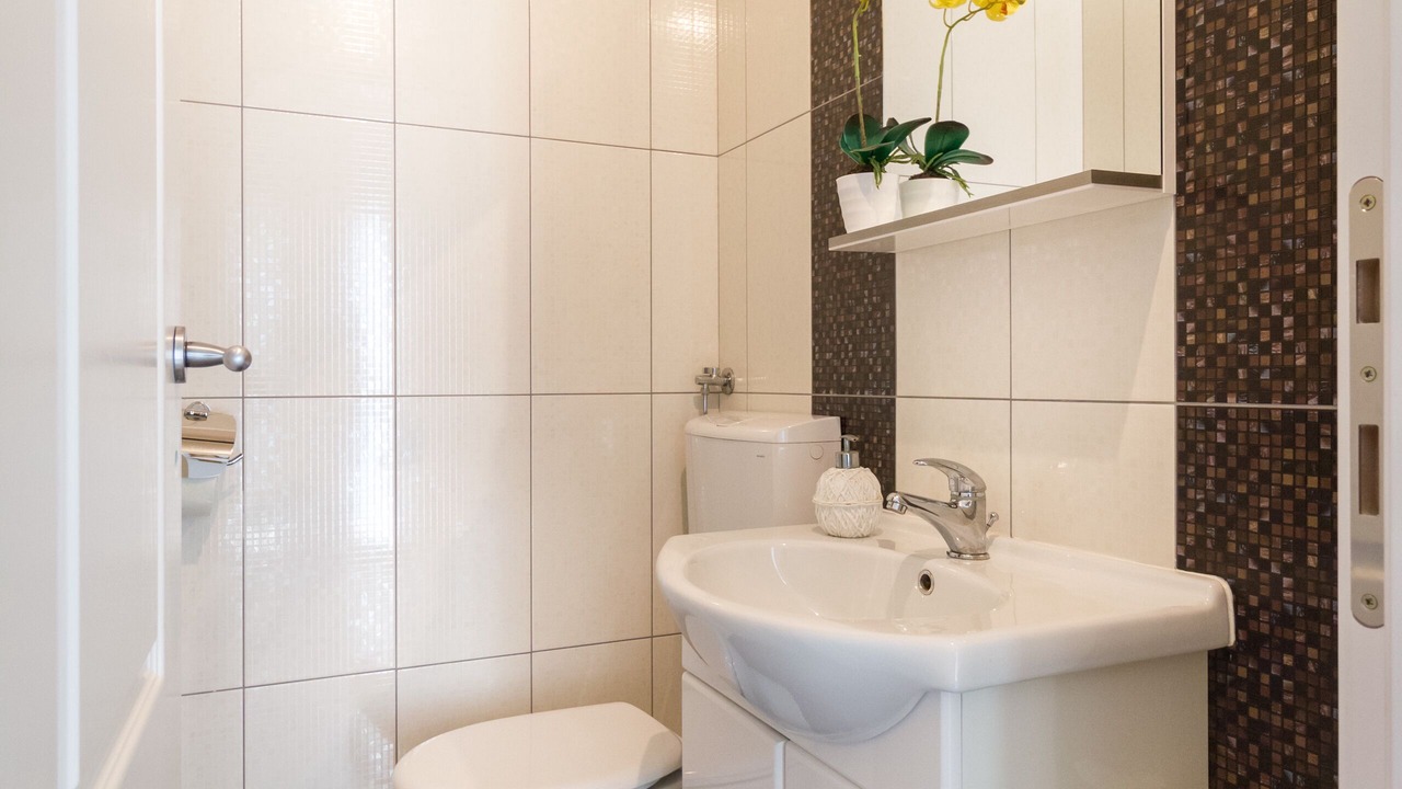 Photo of Bathroom in Zvecanje