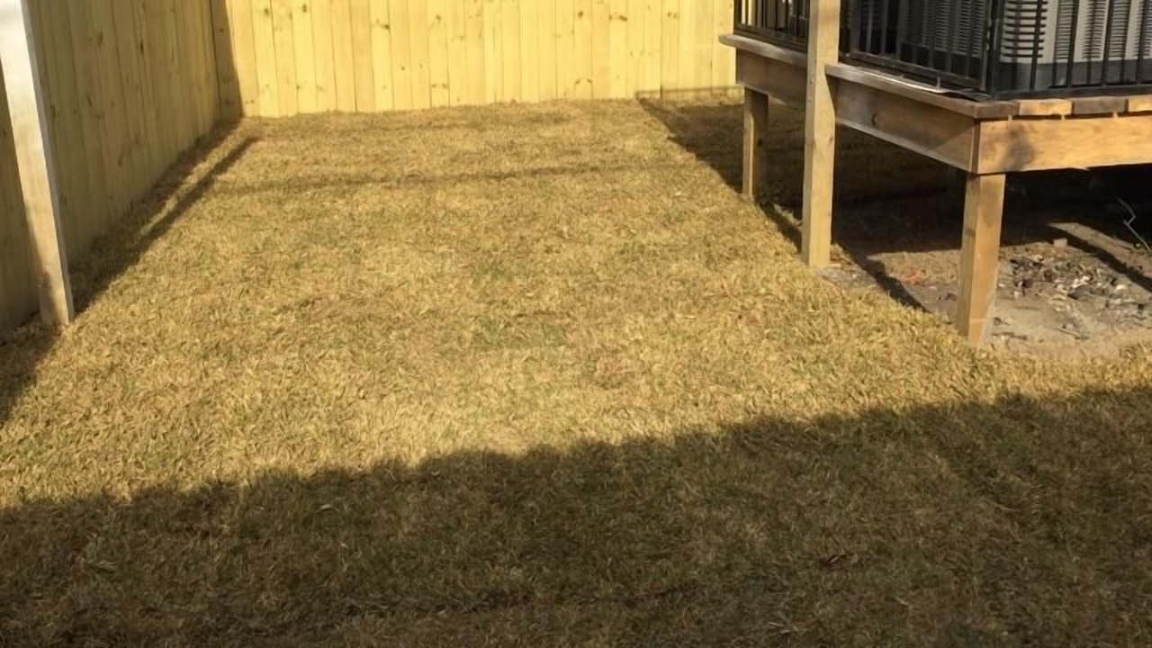 Photo of Outdoor in Bayou St. John