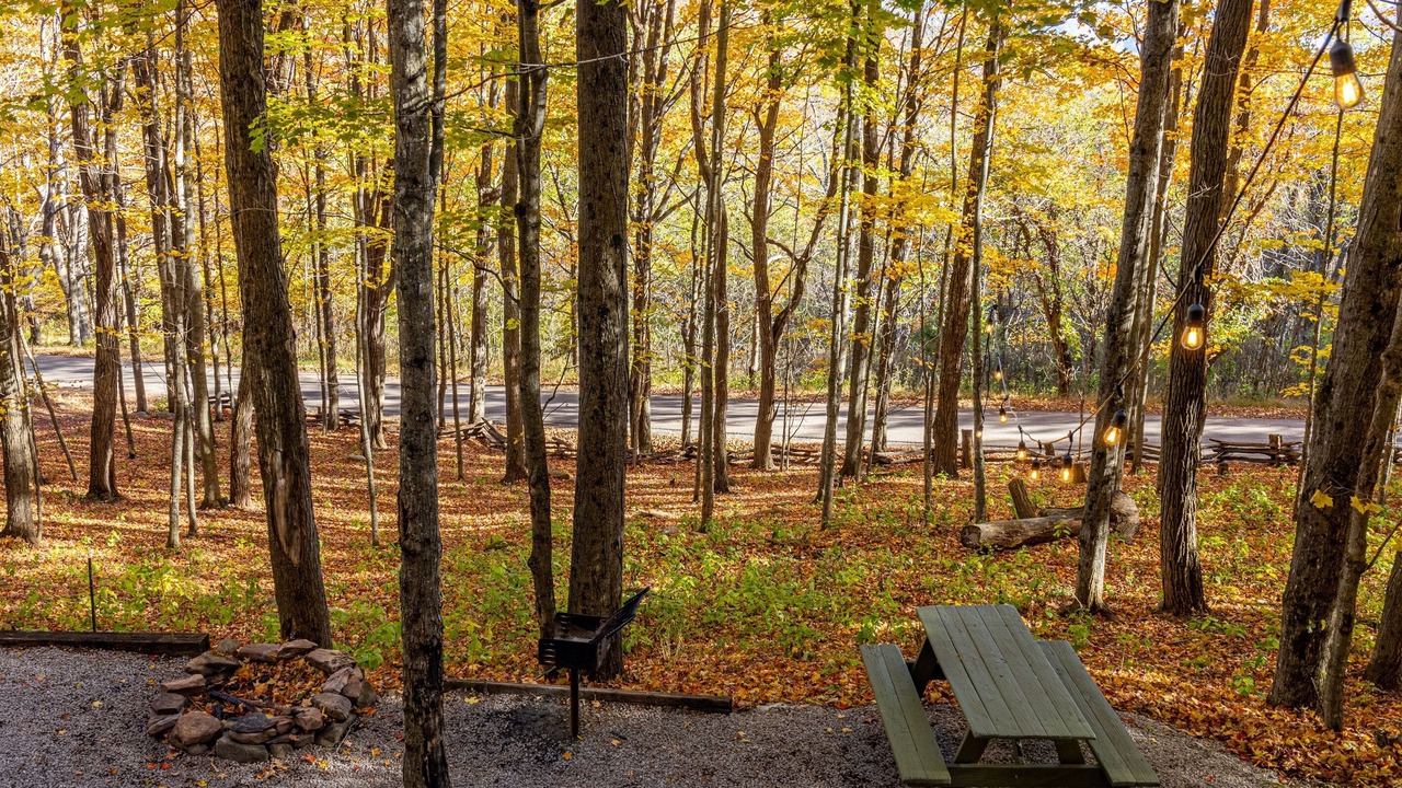 Photo of Outdoor in Allegheny Mountains
