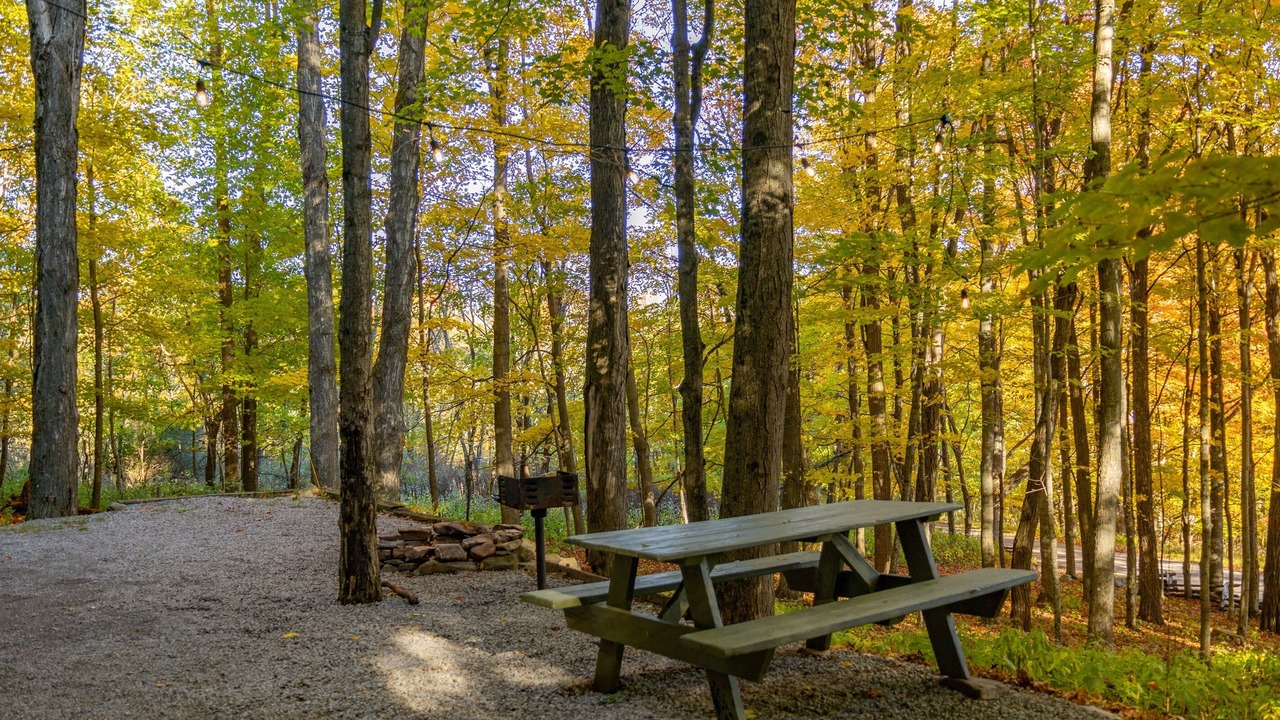 Photo of Others in Allegheny Mountains