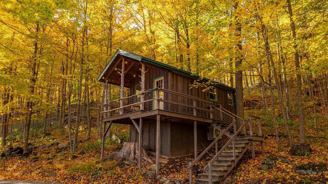Photo of Others in Allegheny Mountains