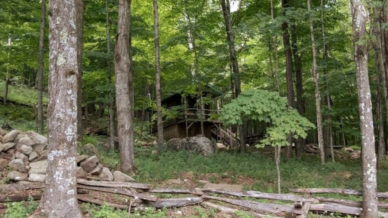 Photo of Others in Allegheny Mountains