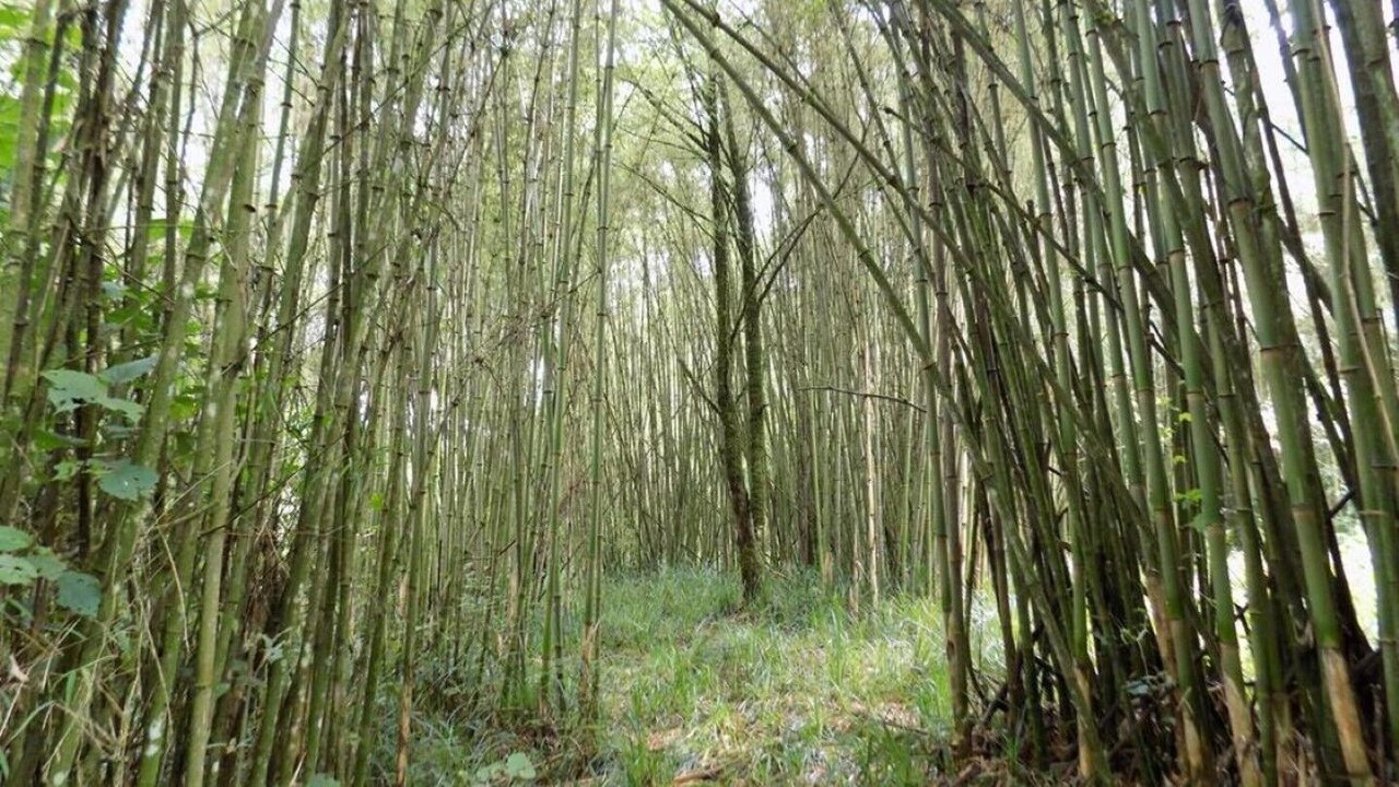 Photo of Outdoor in Kiamuturi