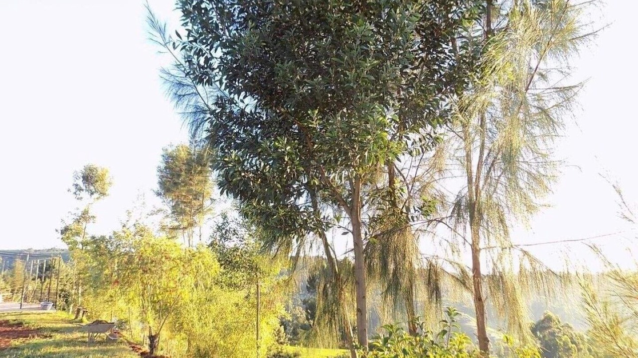 Photo of Outdoor in Kiamuturi