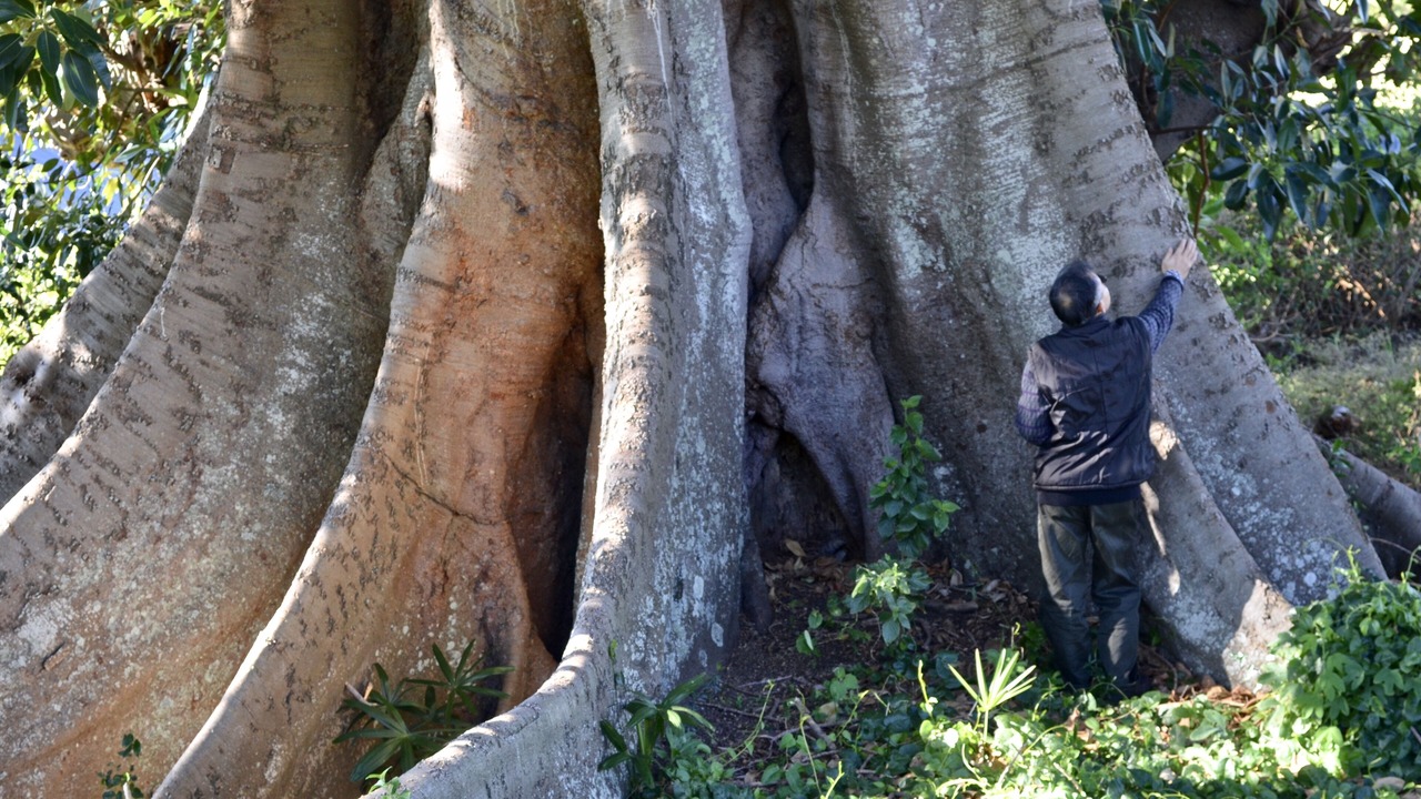 Photo of Others in Kiama