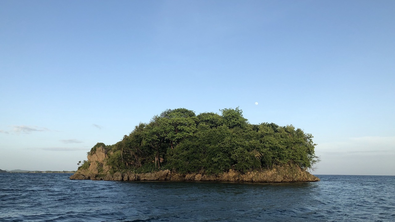 Photo of Others in Calabash Bight