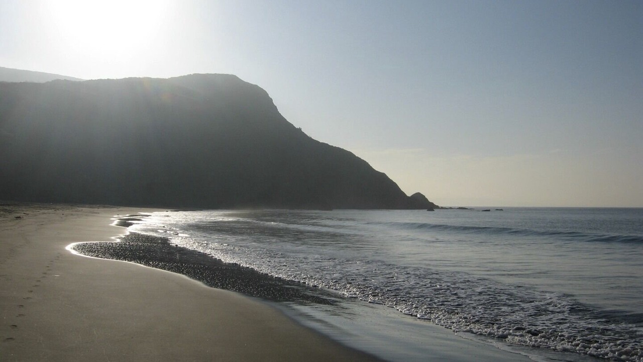 Photo of Others in Muir Beach