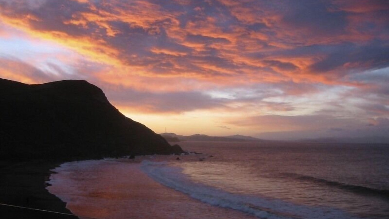 Photo of Others in Muir Beach