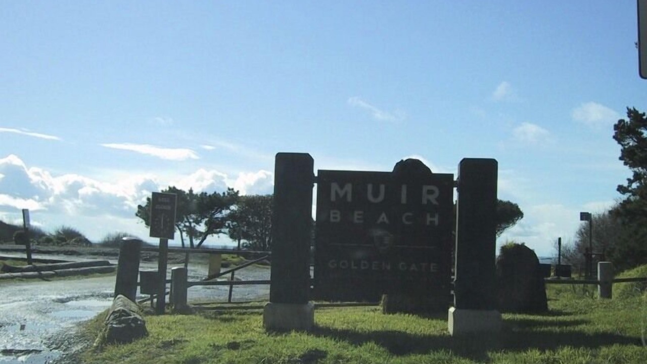 Photo of Others in Muir Beach