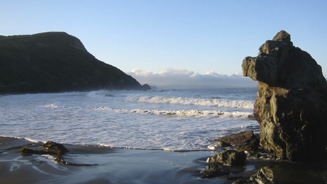 Photo of Others in Muir Beach
