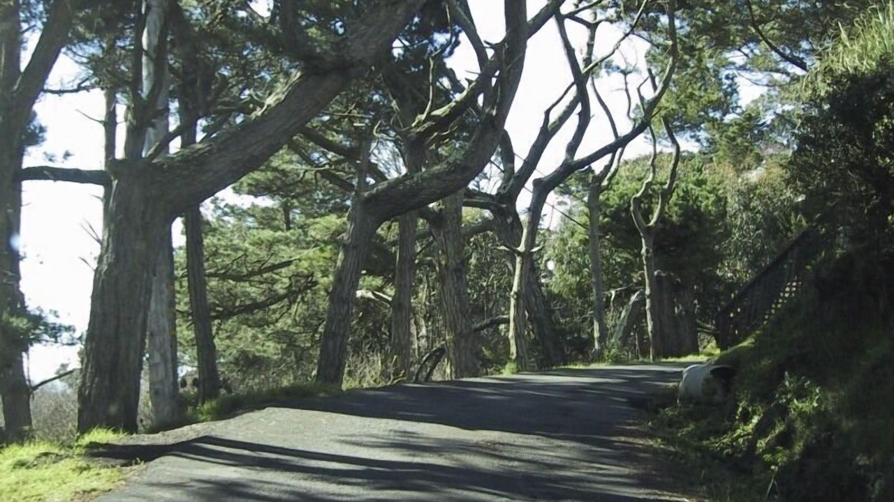 Photo of Others in Muir Beach