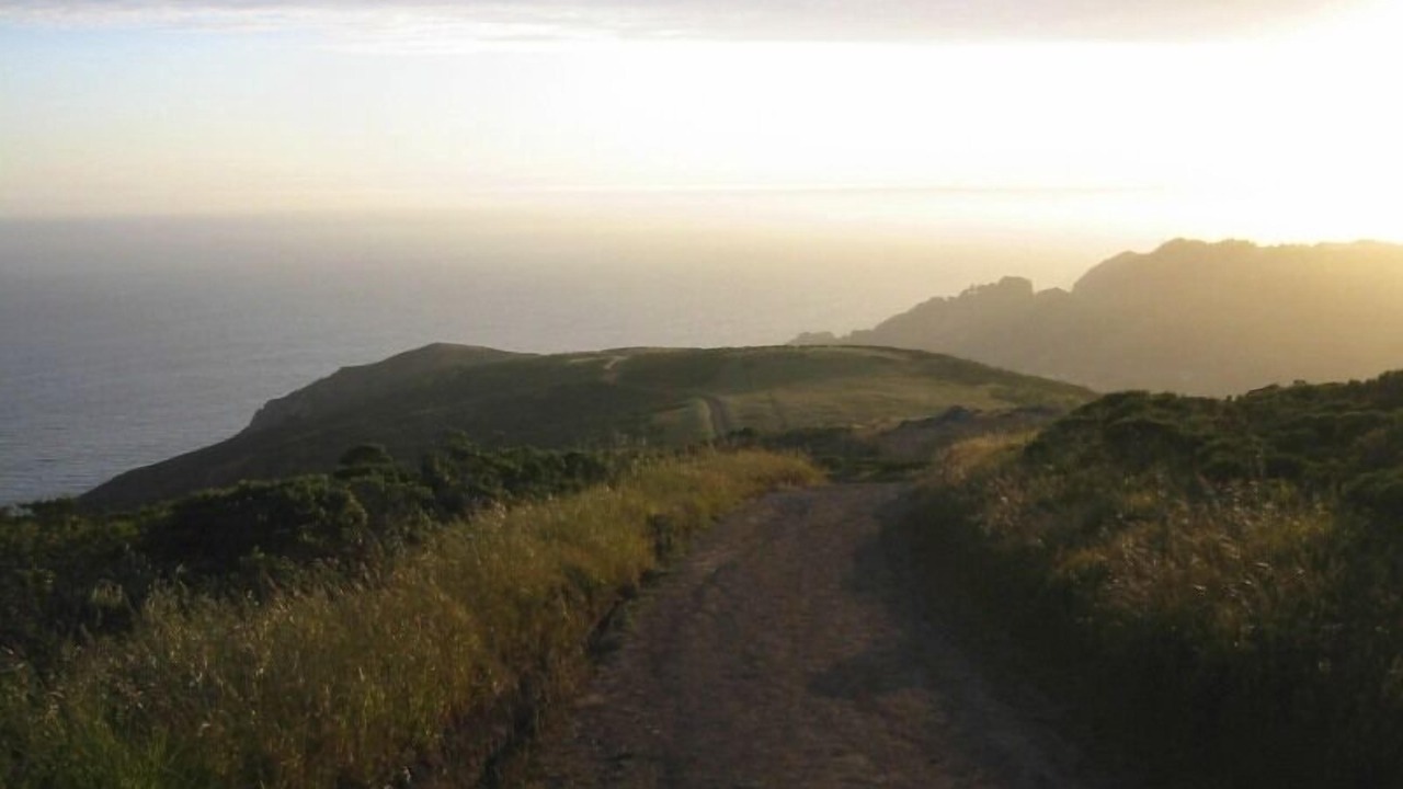 Photo of Others in Muir Beach