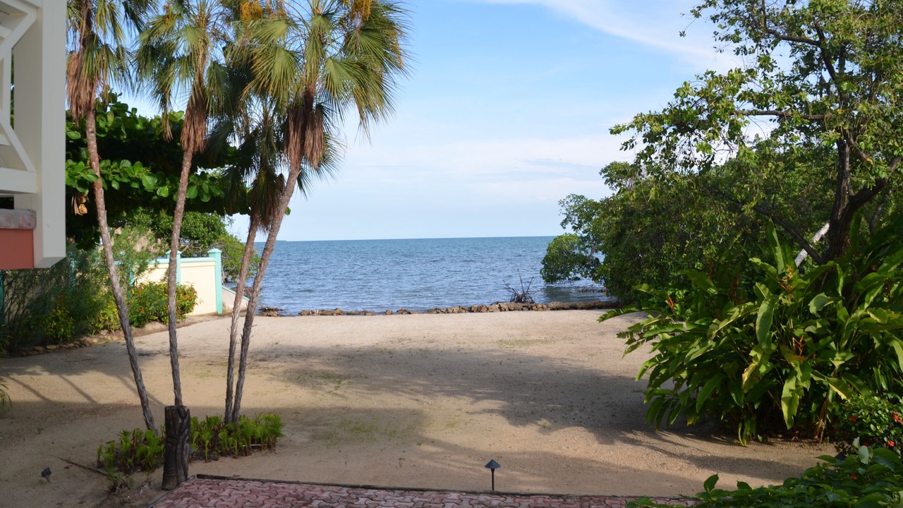 Photo of Others in Placencia