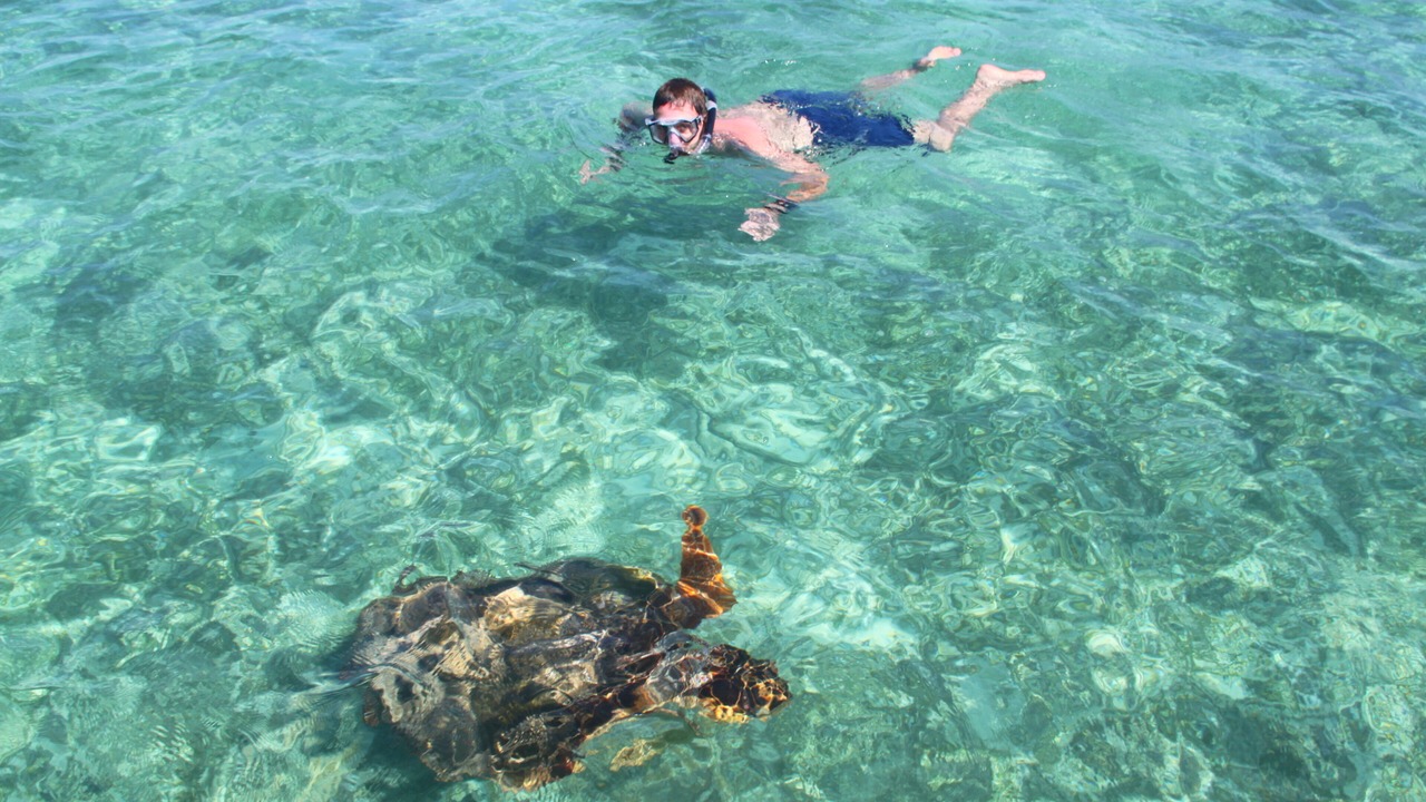 Photo of Others in Placencia