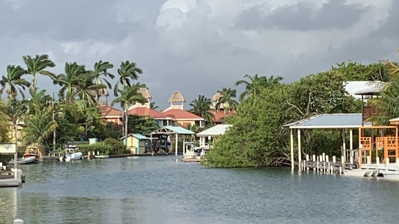 Photo of Others in Placencia