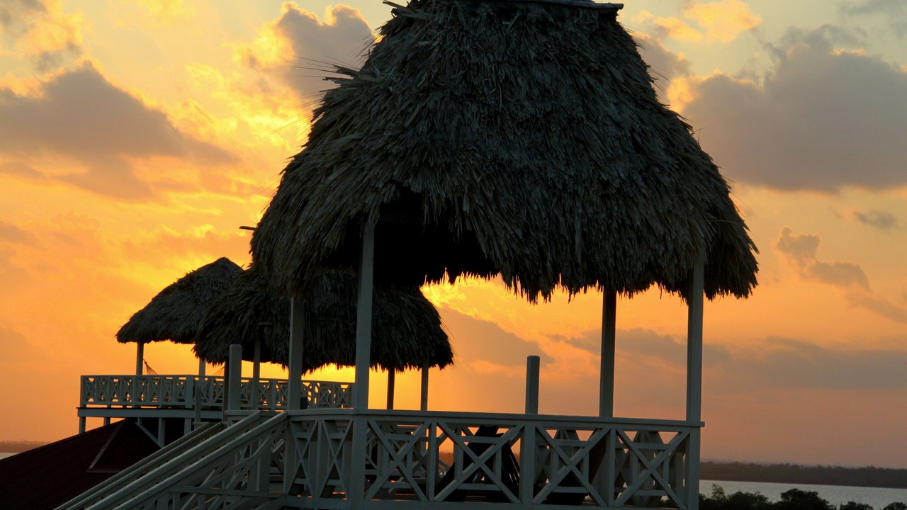 Photo of Others in Placencia