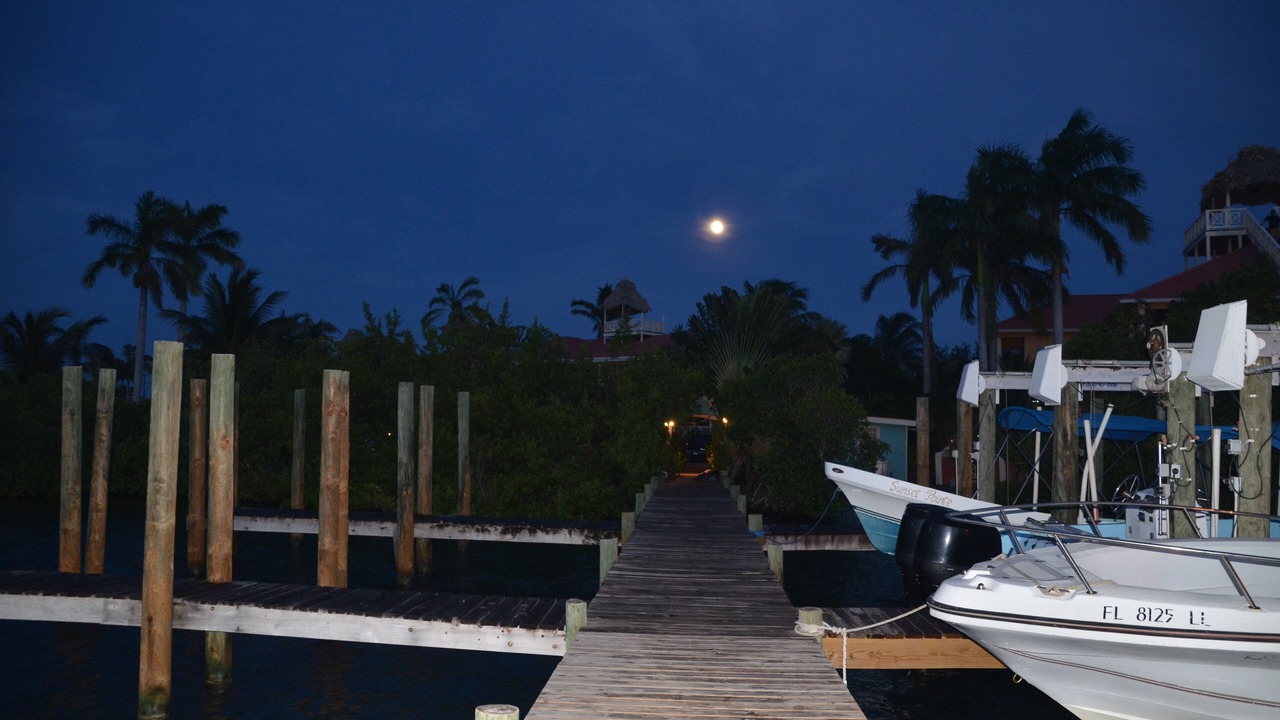 Photo of Others in Placencia