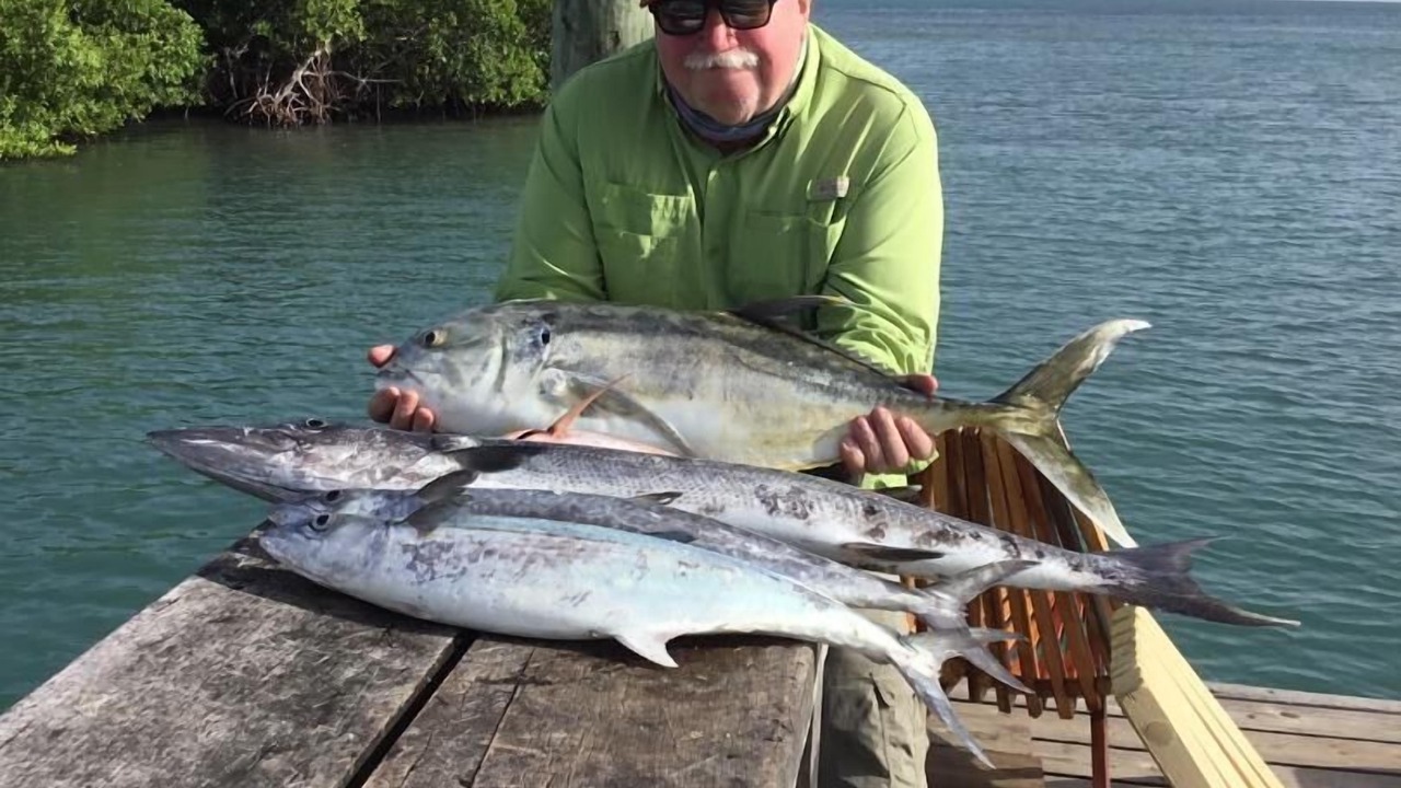 Photo of Others in Placencia